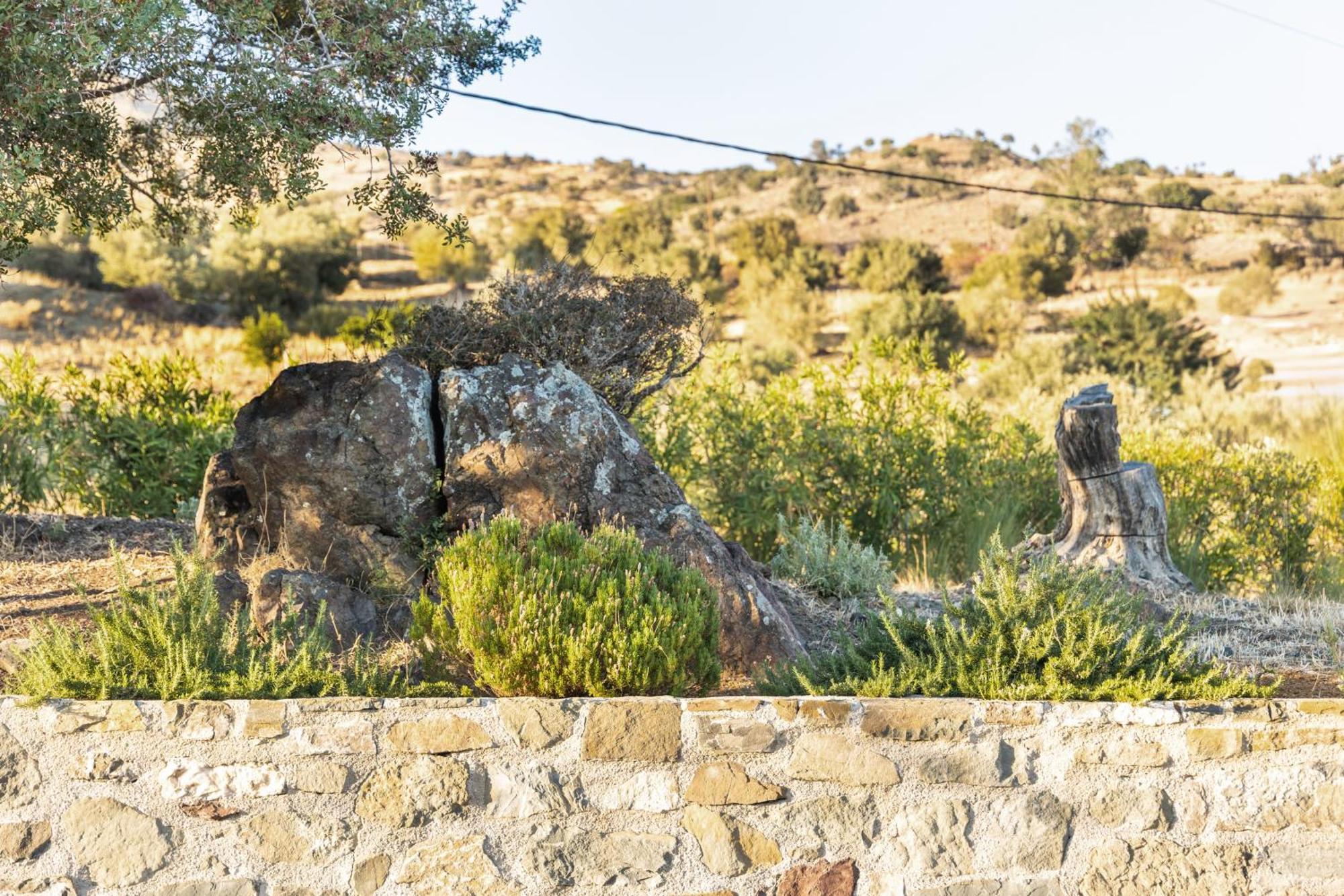 Evgoro Luxury Suites Agia Galini  Exterior photo