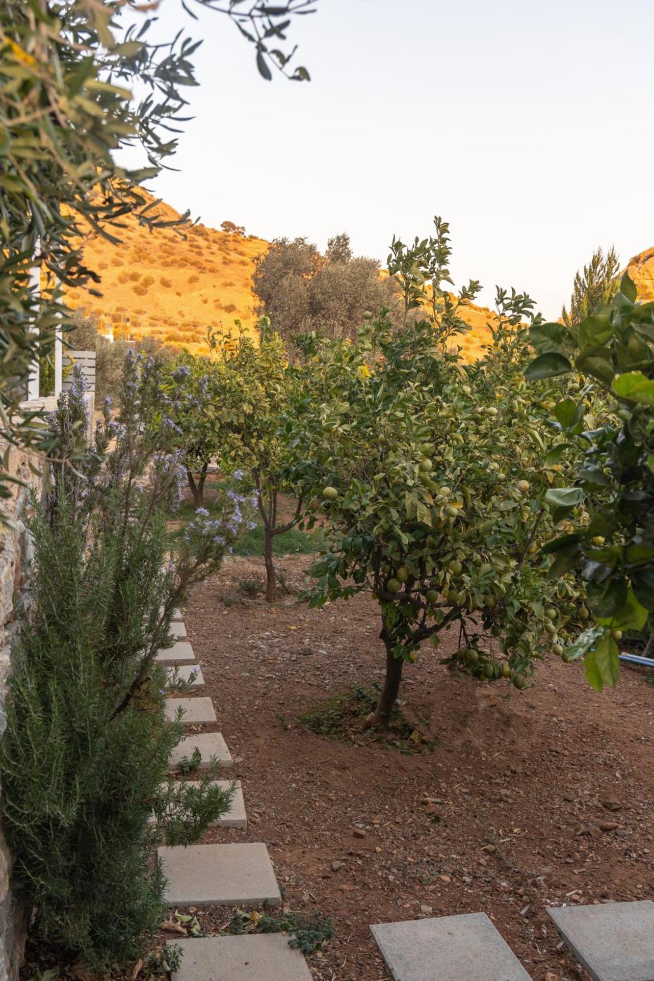Evgoro Luxury Suites Agia Galini  Exterior photo